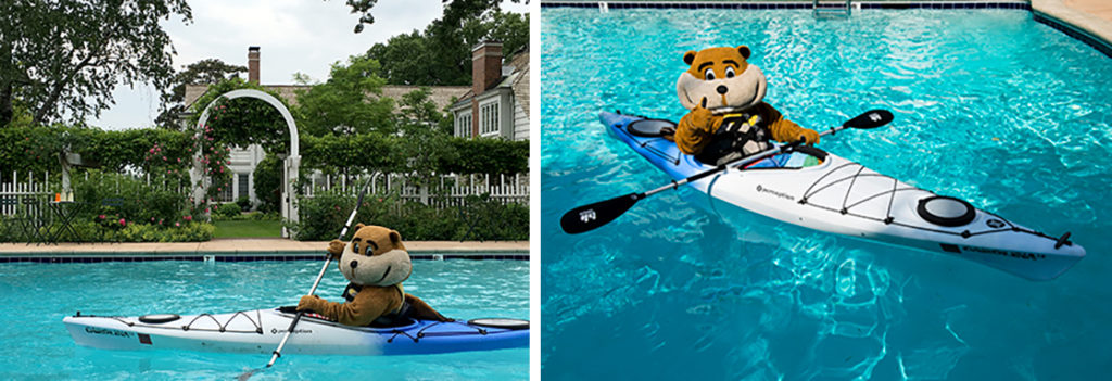 Goldy Gopher kayaking in a swimming pool